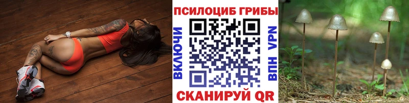 Галлюциногенные грибы мухоморы Купить где Гремячинск